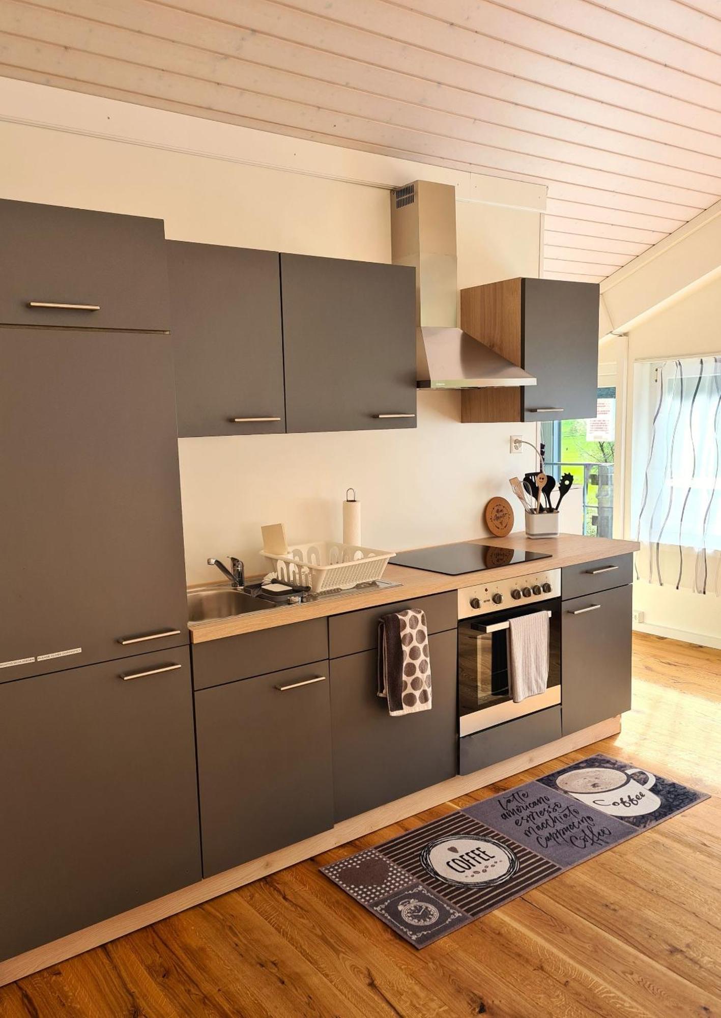 Muota River Loft & Muota Industry Apartment Near Stoos Muotathal Εξωτερικό φωτογραφία