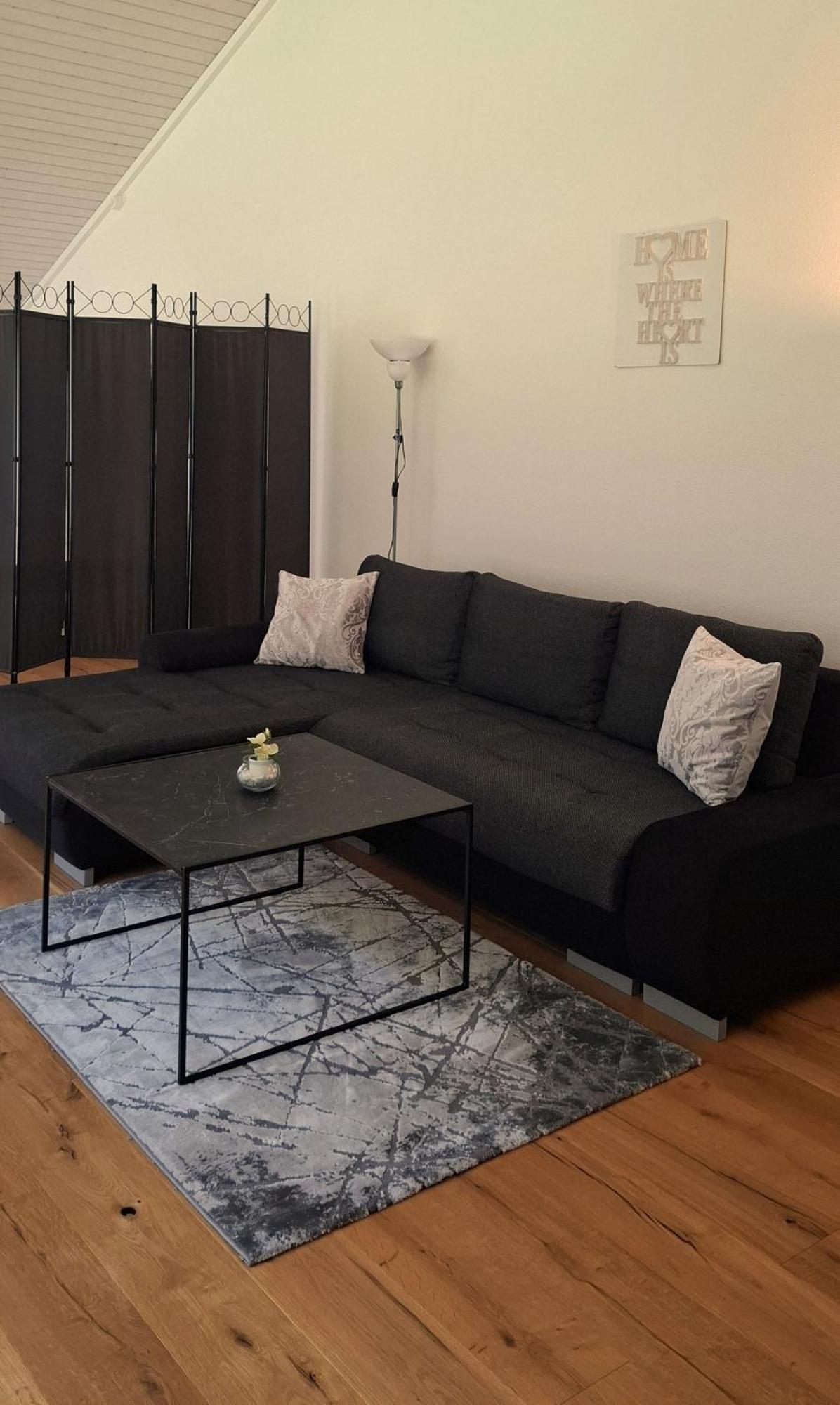 Muota River Loft & Muota Industry Apartment Near Stoos Muotathal Εξωτερικό φωτογραφία
